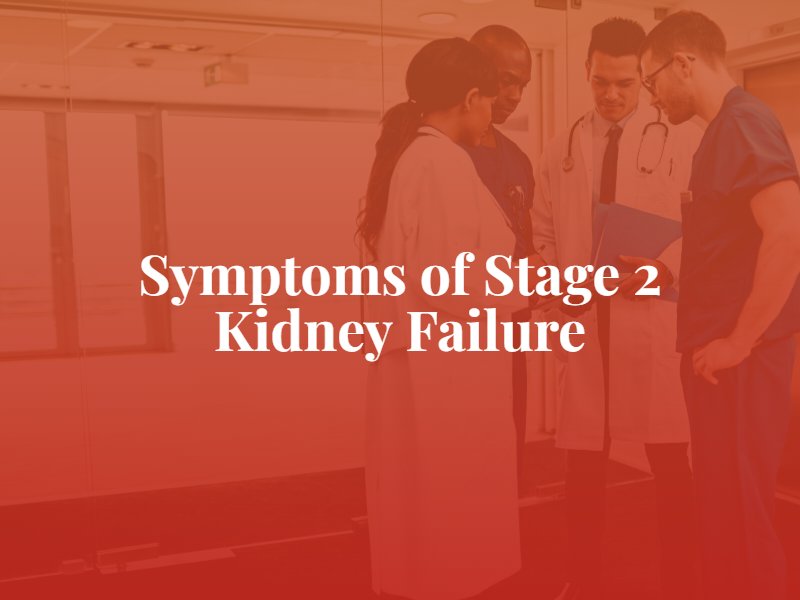 What are the symptoms of stage 2 kidney failure?