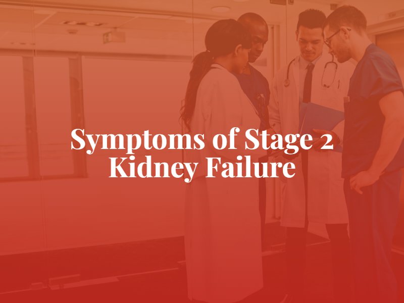 stage-3-kidney-disease-google-search-kidney-disease-awareness