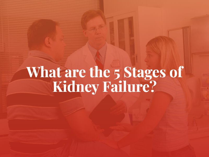 What are the 5 Stages of Kidney Failure?