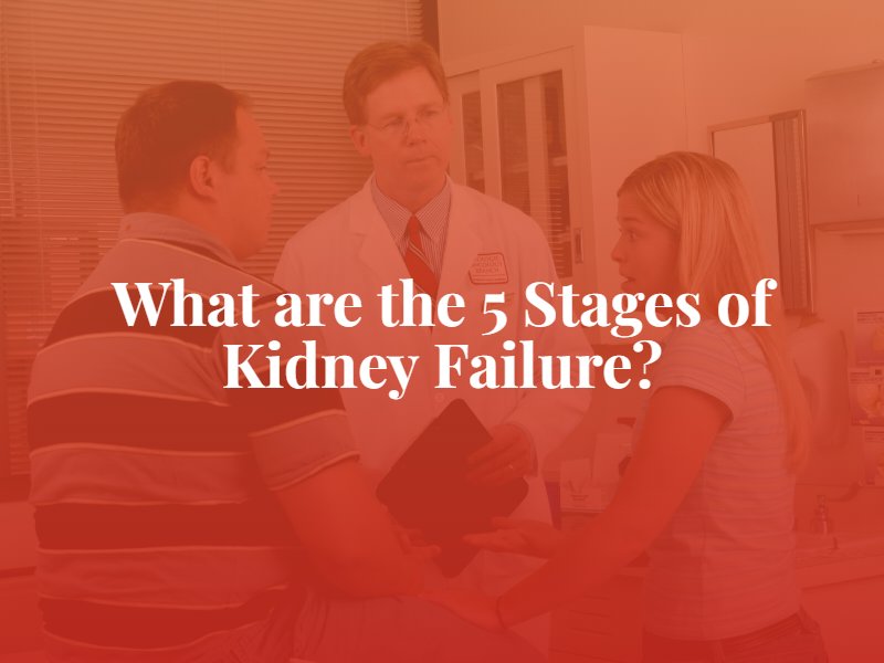 What are the 5 Stages of Kidney Failure?