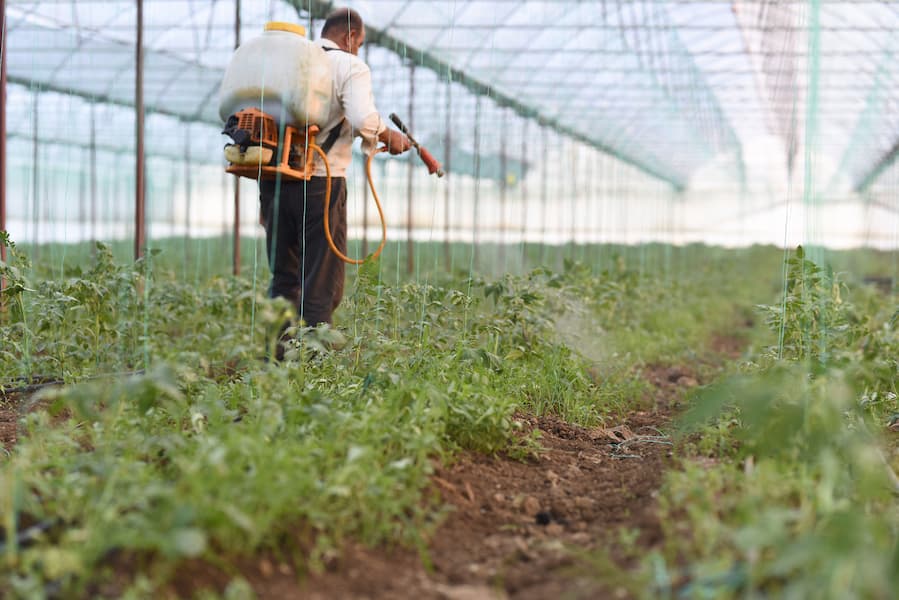 A farmer spraying pesticides on the field.