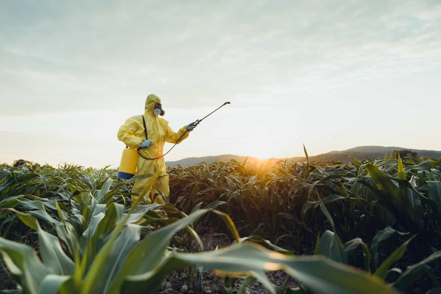 Someone spraying chemicals risking himself to toxic exposure. 